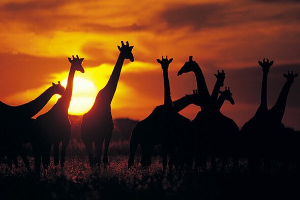 Rundreise Kenia