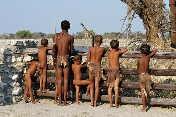 Rundreise Namibia, 21 Tage Zelt- oder Hotel & Lodge-Safari