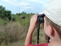 Udawalawe Nationalpark