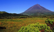 Portugal Azoren Faial Pico