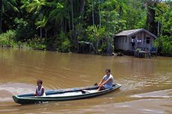 Boot, Einheimische, Amazonas, brasilien reise