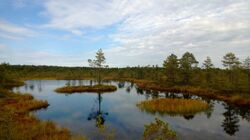 Lahemaa Nationalpark, Estland, Ausblick, Natur, See, baltikum radreise