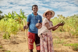 Ernte, Farmer, Madagascar