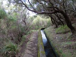 Levada, Portugal Rundreise