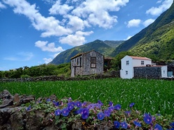 Haus, Blumen, São Jorge, Azoren, Landschaft, Berge, Azoren Rundreise