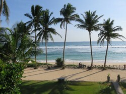 Ahangama, Sri Lanka, familienurlaub sri lanka