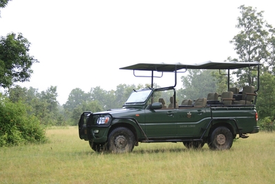 Indien Jeepsafari Nationalpark