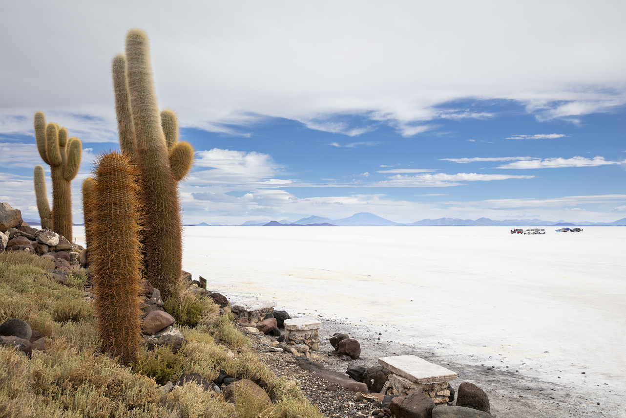 Salar de Uyuni, Salzwüste, Bolivien, Kakteen, Rundreise Bolivien, salzwüste salar de uyuni 