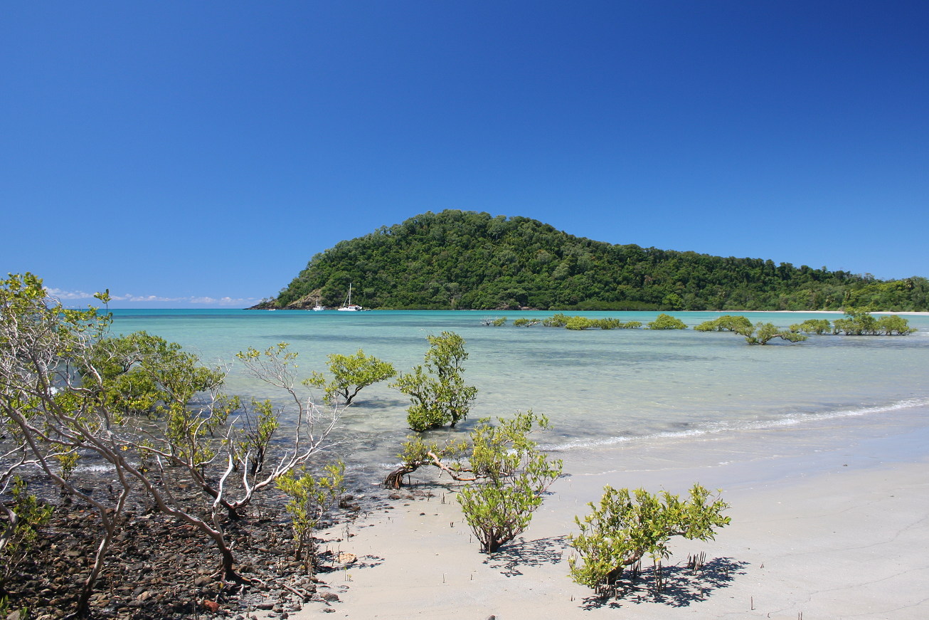 Cape Tribulation, Strand, Australien, Rundreise
